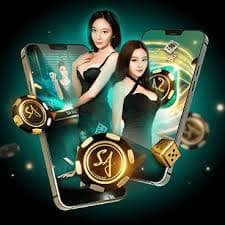 Bangladesh cricket followers using bb4444 tournament guide on smartphones
